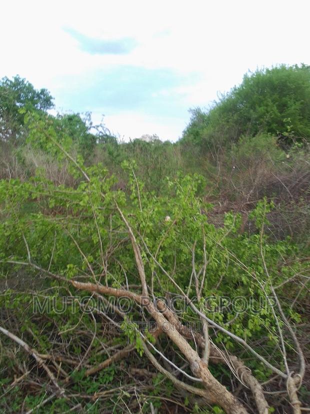 160acres for Sale