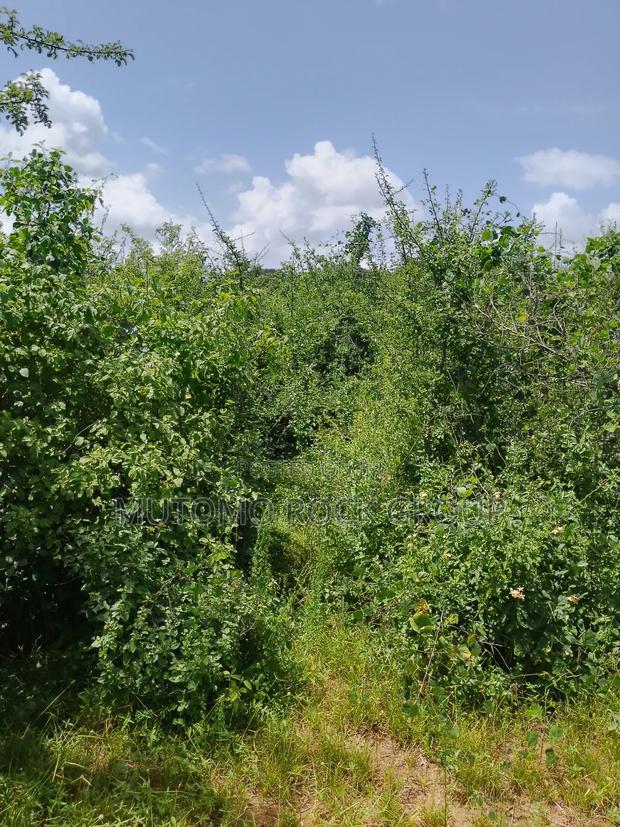46 Acres With Title