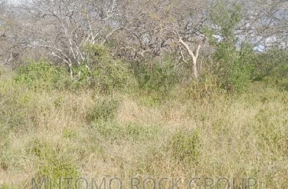 1500 Acres for Sale