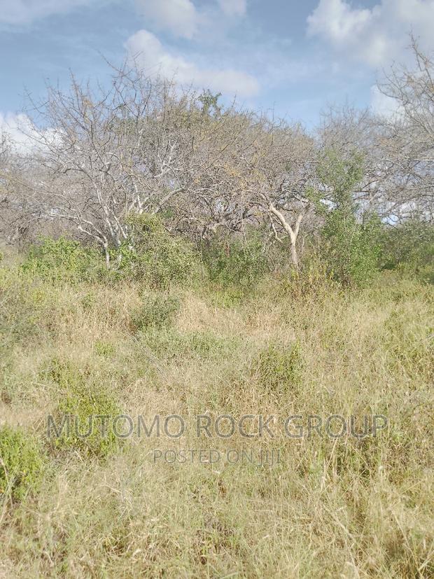 1500 Acres for Sale