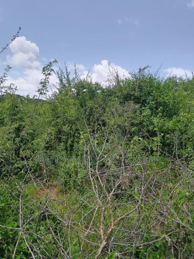 46 Acres With Title