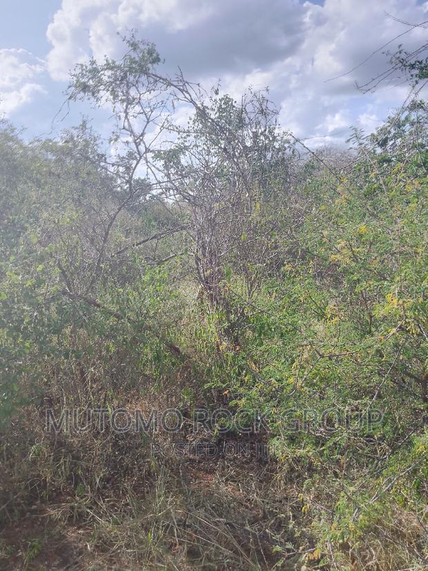 1500 Acres for Sale