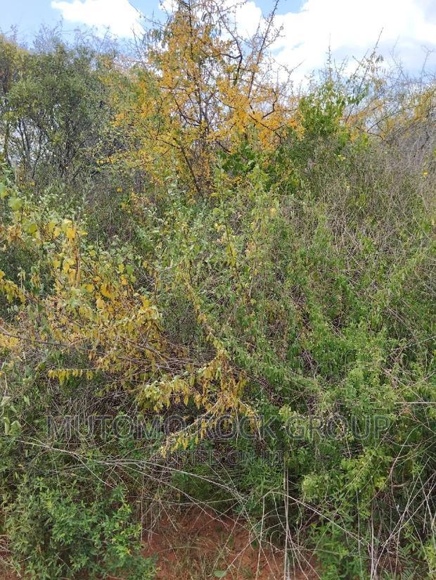 130acres for Sale With Title Deed