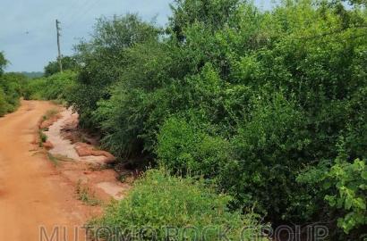 44acres for Sale