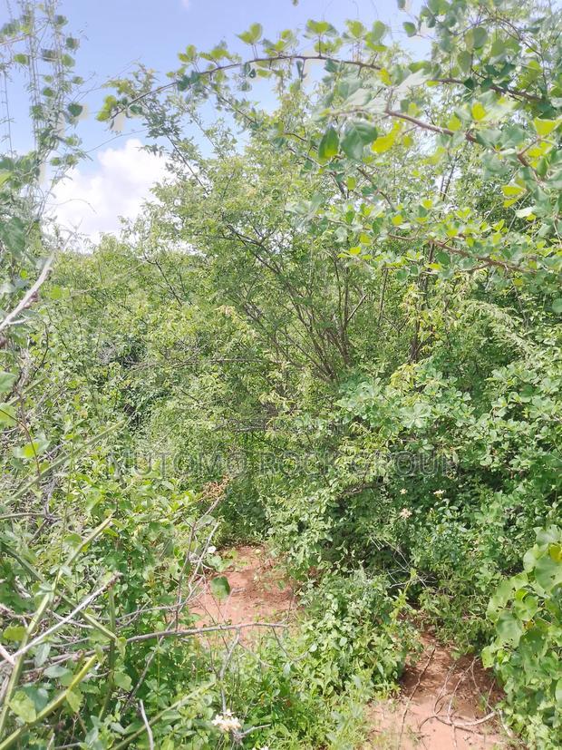 46 Acres With Title