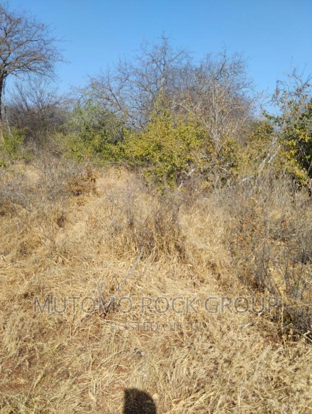 14 Acres for Sale