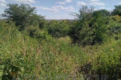 500acres for Sale