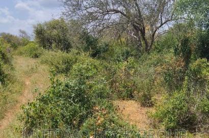 3080acres For Sale