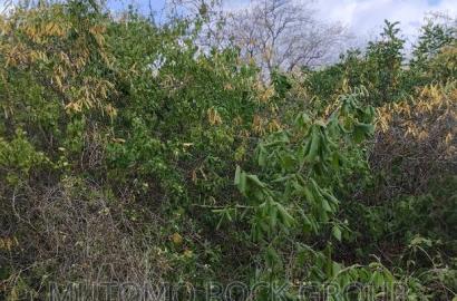 130acres for Sale With Title Deed