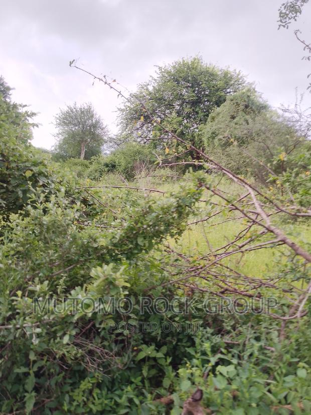 994acres for Sale
