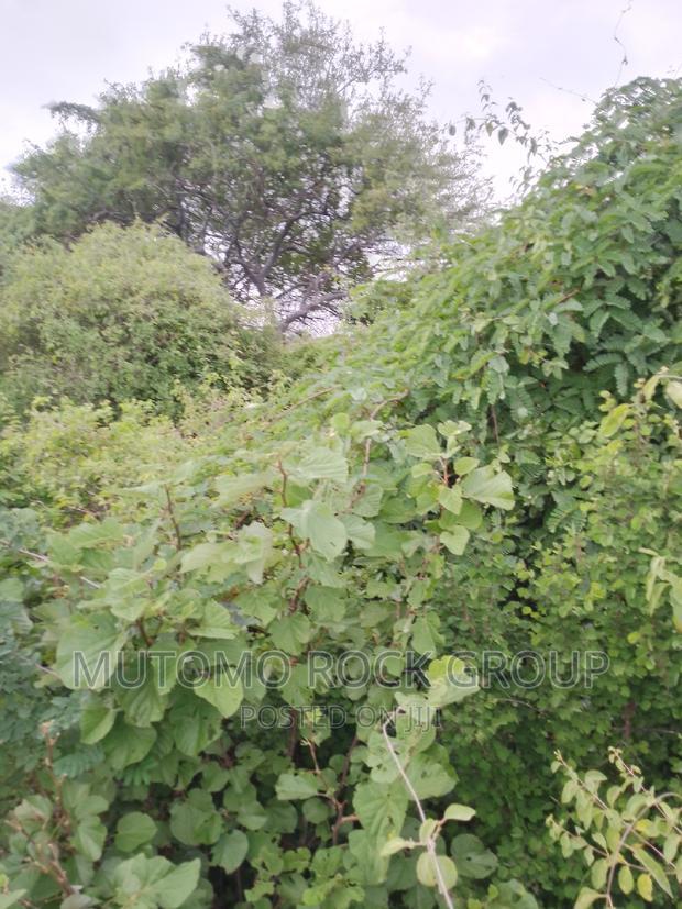 8acres For Sale