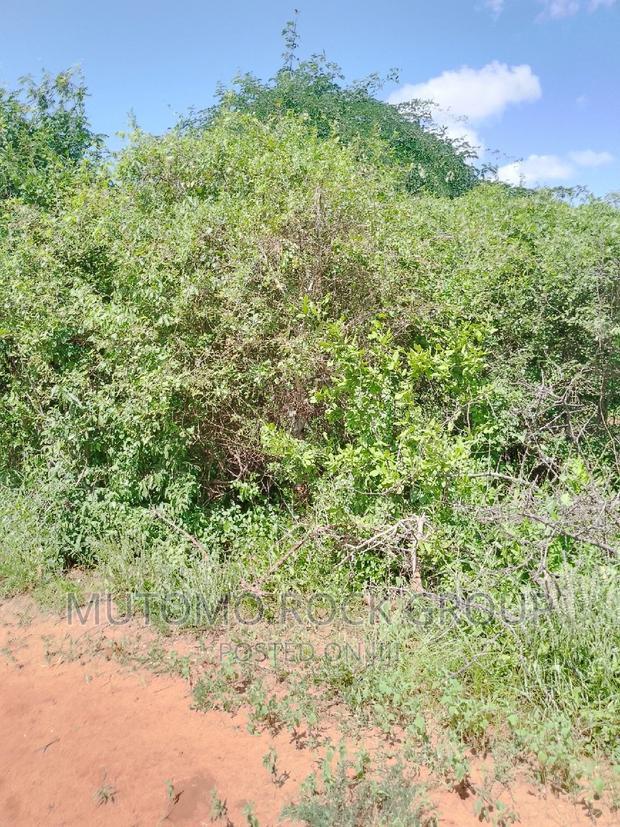 31acres for Sale