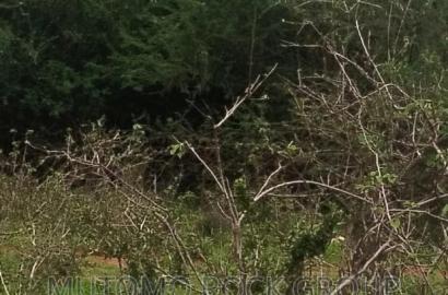 198acres Land For Sale With Title Deed
