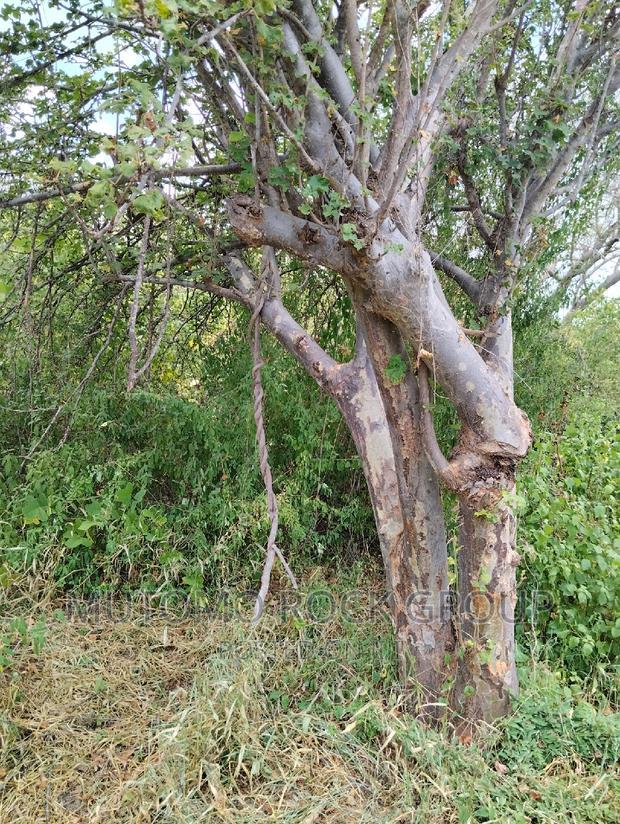 3080acres For Sale
