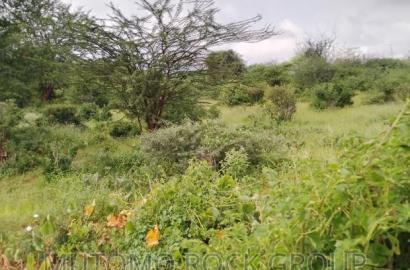 8acres For Sale