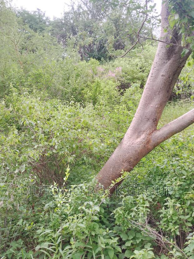 58acres for Sale Touching a Seasonal River