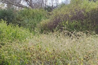 10,000 Acres for Sale