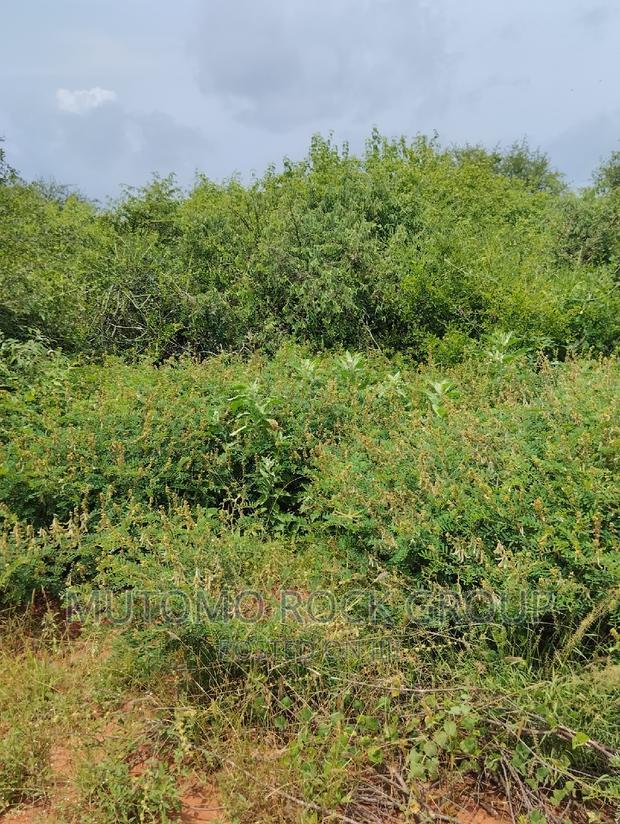 44acres for Sale