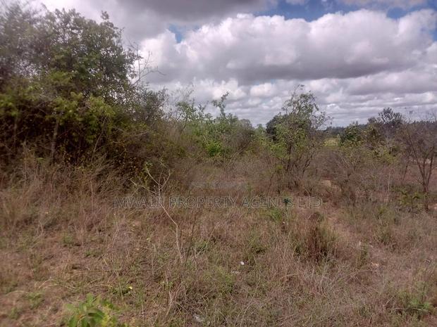 Tungutu 50 by 100 Ft Plots for Sale