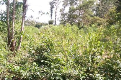 100 Acres Mutha,Kitui