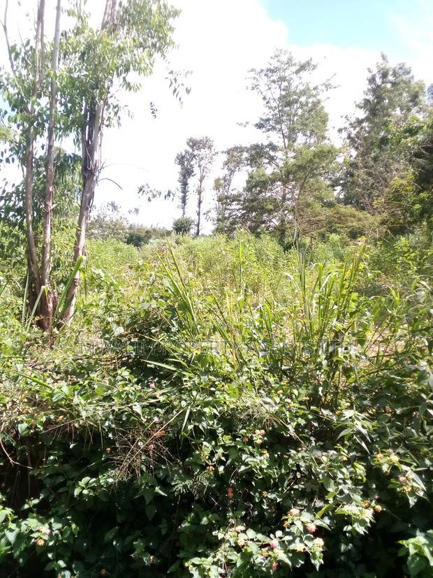 100 Acres Mutha,Kitui