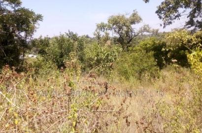 3 Acres ,NDUUMONI, Kitui