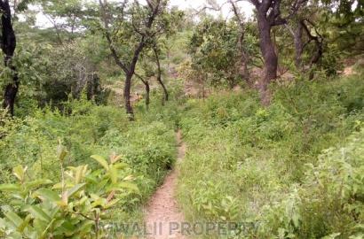 5 Acres, Riverfrontage ,Kalimani ,Kitui