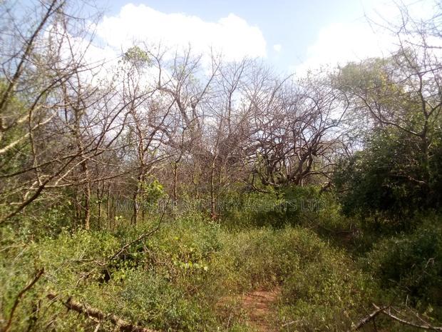 2 Acres Land, Matinyani
