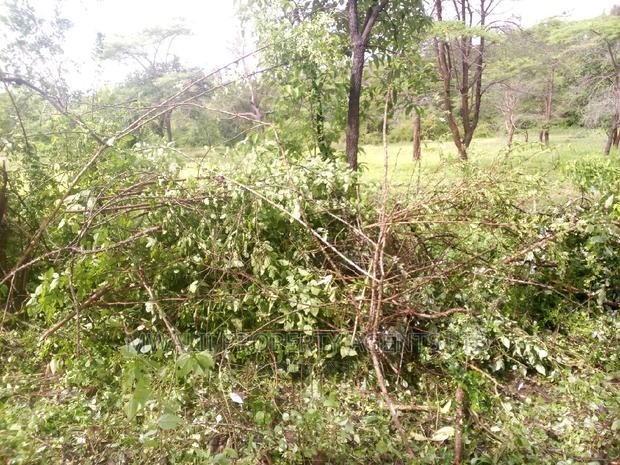 90 Acre Quick Sale Ikutha