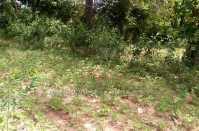 Specially Priced Plots, Mulutu,Kitui