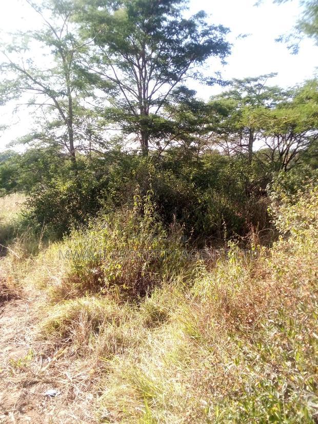 3.75 Acre FARM.MOSA