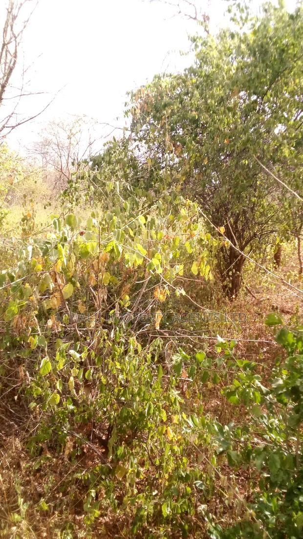 2 Acres Land, Matinyani