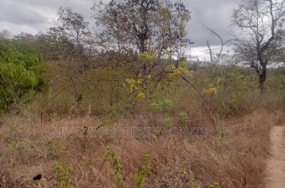 2 Acre Farm , Mutune