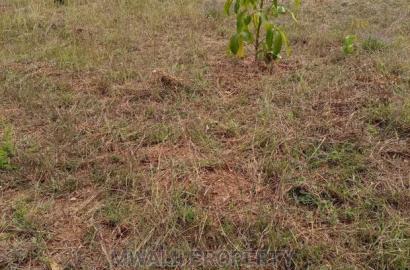 50 by 100 Ft Residential Plots in Mutomo Town