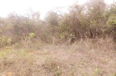 Tungutu 50 by 100 Ft Plots for Sale
