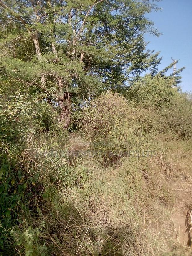 3.75 Acre FARM.MOSA