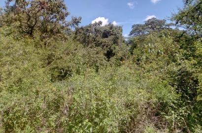Mbitini,Kamulu, 4 Acres Shamba