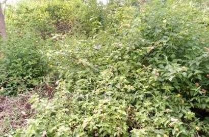 Ideal 3.5 Acres Mutendea Kitui