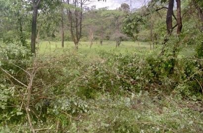 90 Acre Quick Sale Ikutha