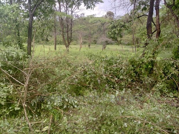 90 Acre Quick Sale Ikutha