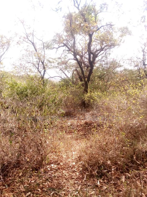 2 Acre Farm , Mutune