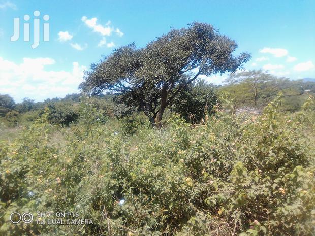 21 Acres At Yongela, Mbitini.Kitui