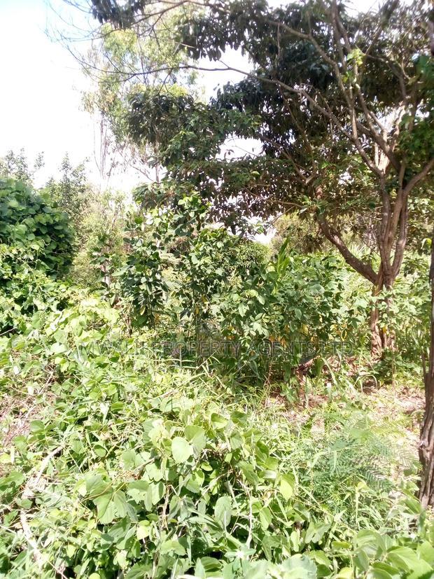 100 Acres Mutha,Kitui