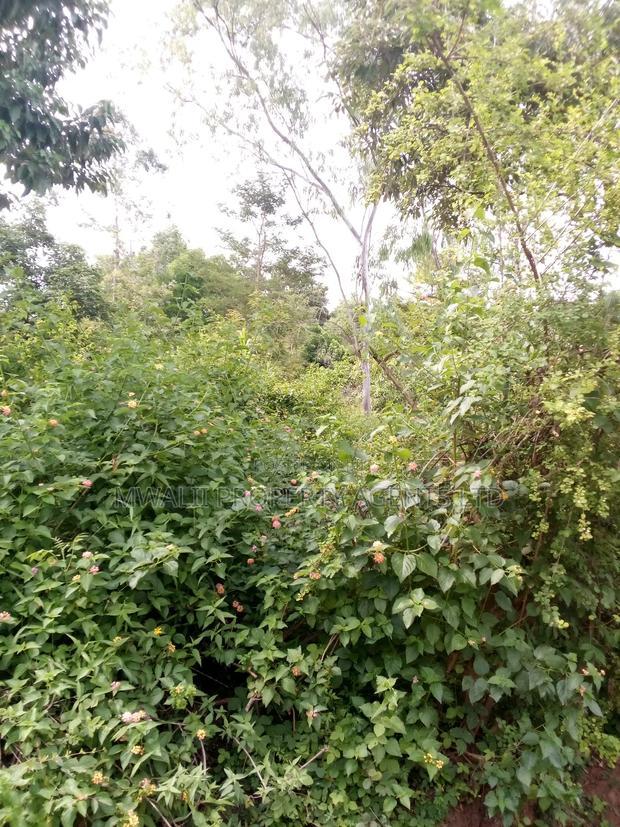 Special Offer Plots, Kwa Vonza,50 by 100 Ft