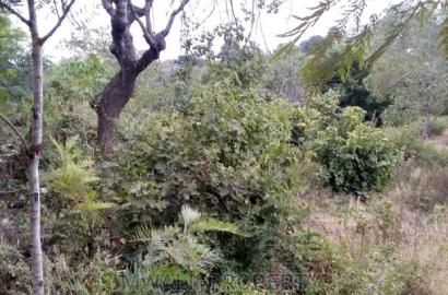 9 Acres ,Katheuni, Matinyani