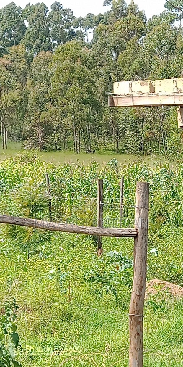 Plot for Sale in Gikambura Kikuyu