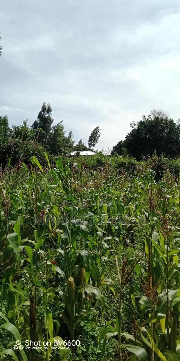 Plot for Sale in Gikambura Kikuyu