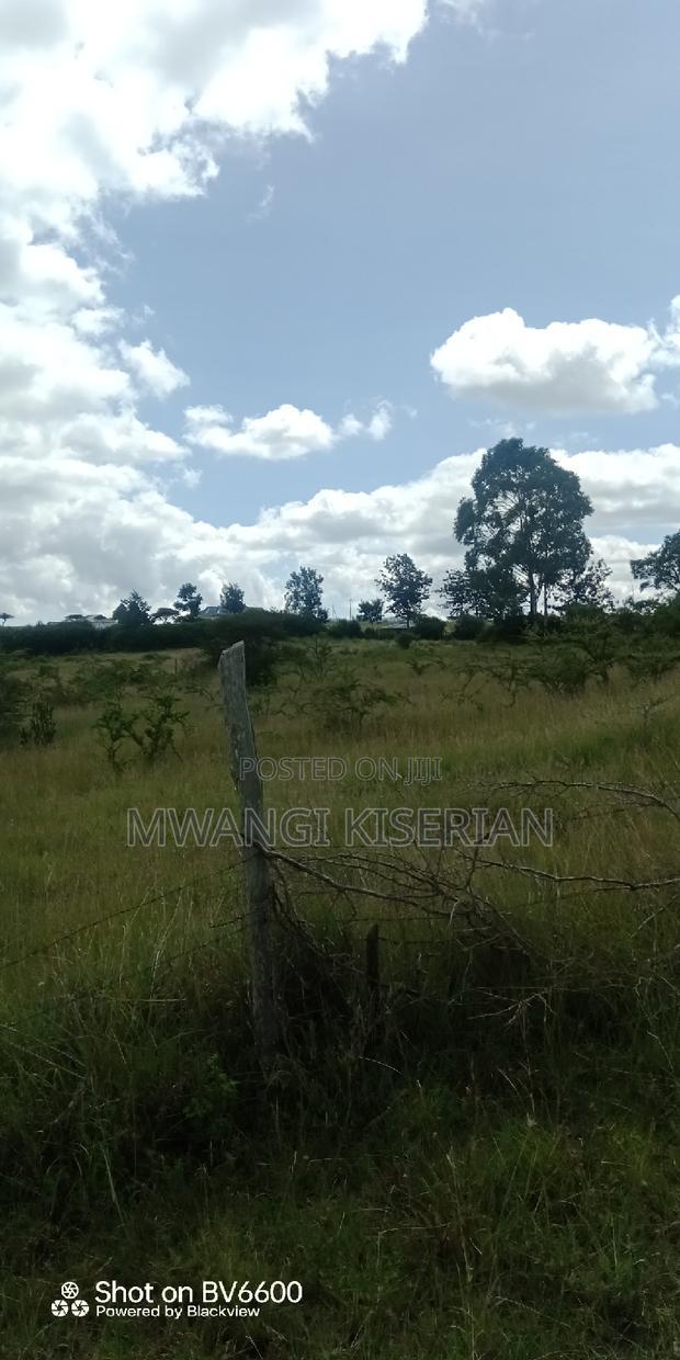 2 Acres on Top of the Mountain
