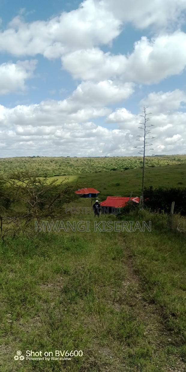 2 Acres on Top of the Mountain