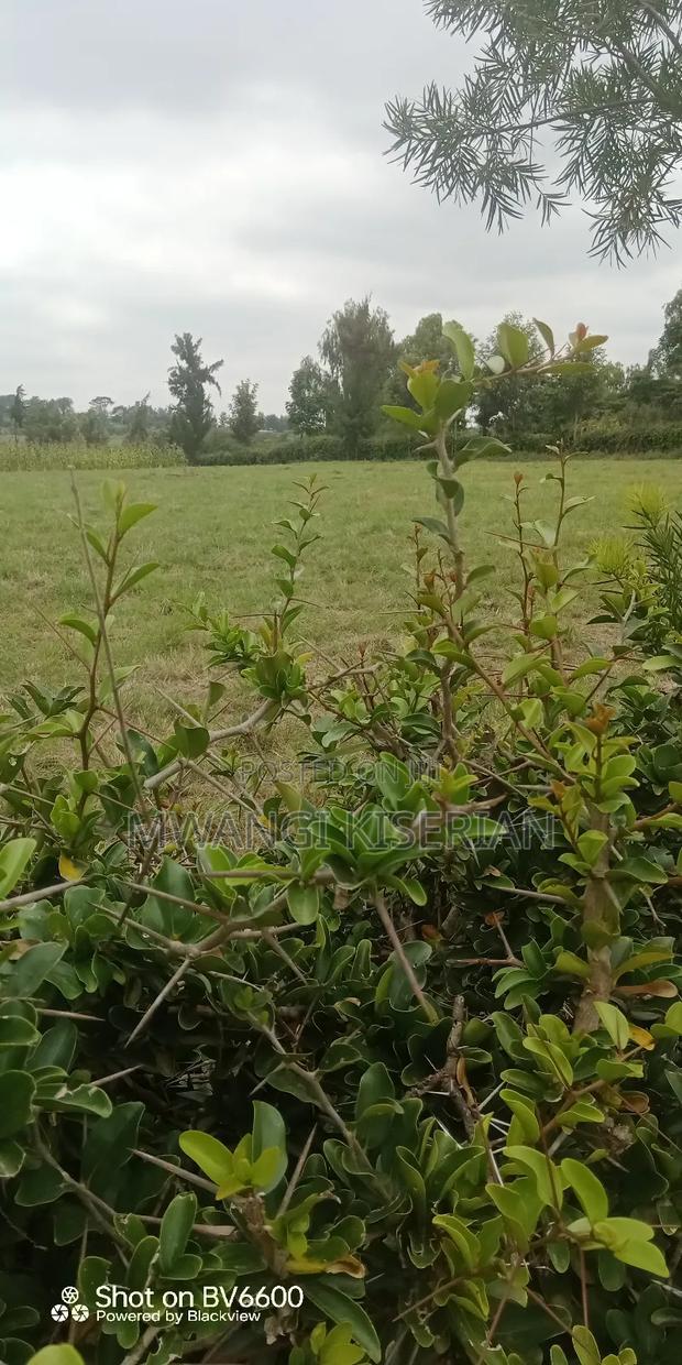 10acres for Sale in Kiserian Farmers